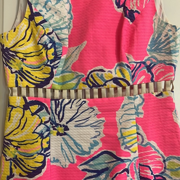 Lilly Pulitzer Shift Dress with cutouts at mid section - Picture 4 of 4